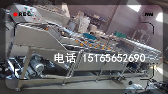食品清洗线升级趋势解析 佳品牌自加热清洗机功能与报价综述